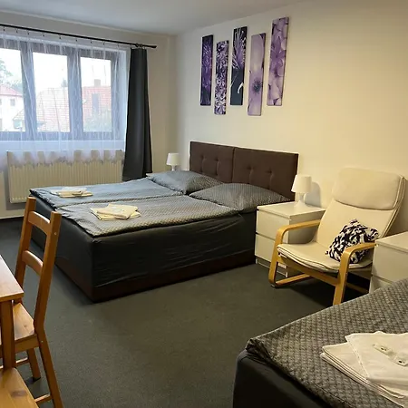 Hajek Guest house Prague